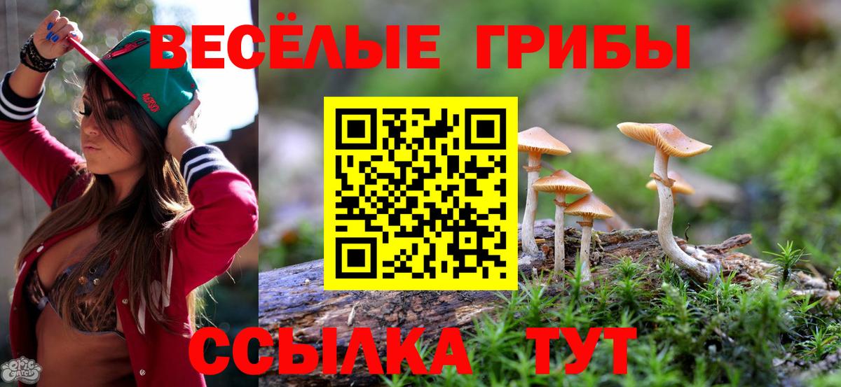 Галлюциногенные грибы Psilocybine cubensis  Вход с VPN  купить наркоту  Гагарин  Псилоцибиновые грибы Cubensis 